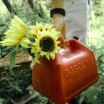 How To Get Gasoline Out Of Clothes? How To Get Gasoline Out Of Clothes?