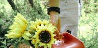 How To Get Gasoline Out Of Clothes? How To Get Gasoline Out Of Clothes?