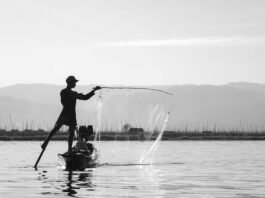 Island Boy Net Worth 2024 Island Boy Net Worth 2024