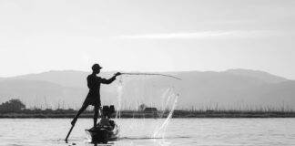 Island Boy Net Worth 2024 Island Boy Net Worth 2024