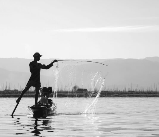 Island Boy Net Worth 2024 Island Boy Net Worth 2024