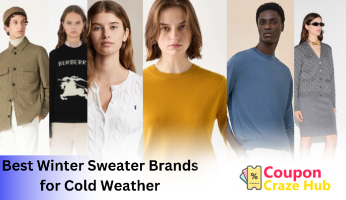 Best Winter Sweater Brands for Cold Weather